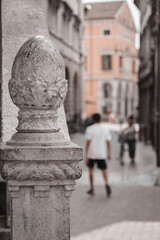 Pine cone and some people in background