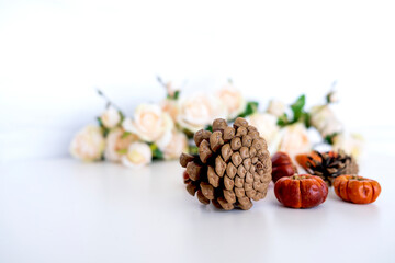 Festive autumn decor of pumpkins, cones on clean background. Thanksgiving or Halloween Concept