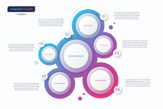Abstract vector gradient minimalistic infographic template composed of 6 circles