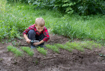 A little boy dressed as a farmer sits near a dill patch and loosens the soil. Organic farming concept