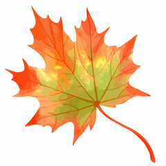 Watercolor illustration of fall maple leaf. 