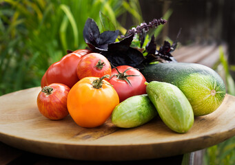 Autumn harvest on a wooden plate. Zucchini, tomatoes, cucumbers and basil leaves