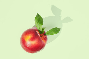 single nectarine on green pastel background