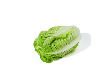 Young salad on white background