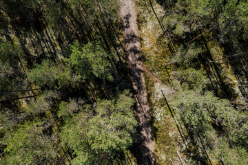 Aerial view of a road in the middle of the woods. View over pine tree forest.
