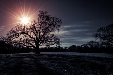 sunrise in winter