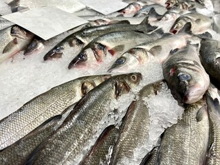 fresh fish on ice