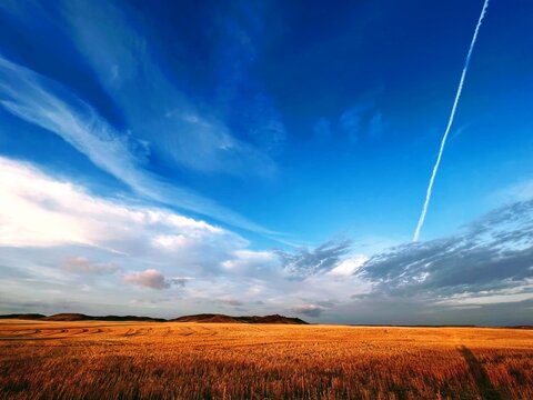 Brilliant Blue Sky Over A Montana Wheat Field