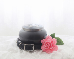 In remembrance of a pet. Pink rose beside an urn filled with ashes of a dog on a white background.
