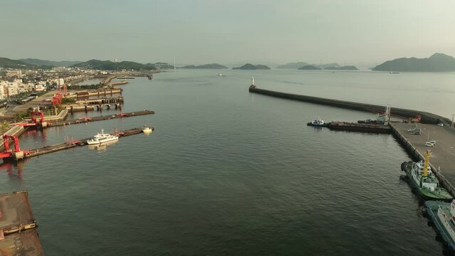 Pullback revealing row of tugboats and patrol vessels in small harbor after sunrise