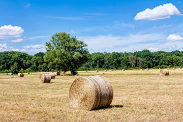 Strohballen auf Ackerland mit blauem, bew&ouml;lktem Himmel