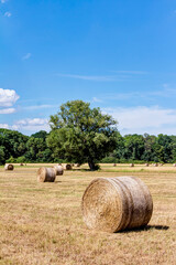 Strohballen mit blauem Himmel und Schäfchenwolken	