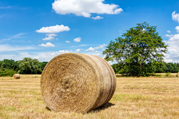 Strohballen mit blauem Himmel und Sch&auml;fchenwolken