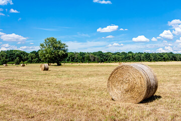 Strohballen mit blauem Himmel und Sch&auml;fchenwolken