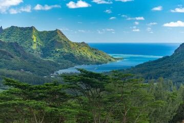 Fototapeta na wymiar Moorea, French Polynesia