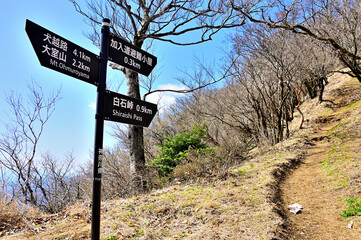 丹沢の甲相国境尾根　加入道山への登山道
