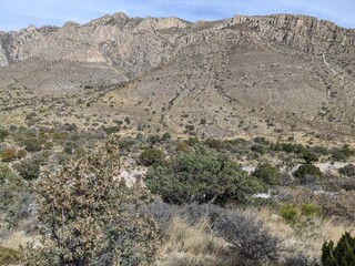 Landscapes