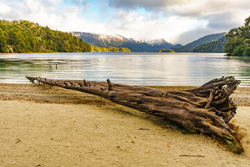 tronco en playa de lago de montaña