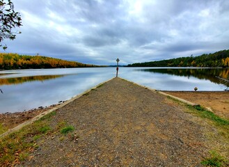 Obraz premium lake in the forest