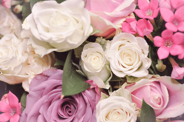 Close up of fresh pink,white and violet roses bouquet, gift for women