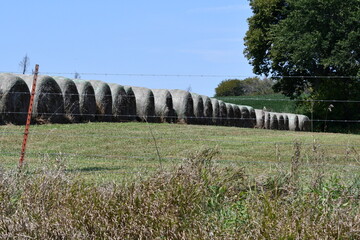 Hay Bales in a Farm Field