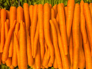 Organic Fresh Carrots on display at supermarket