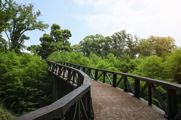 Fototapeta na wymiar Picturesque view of bridge in beautiful green park