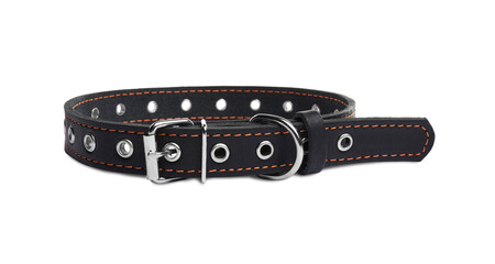 Black leather dog collar isolated on white