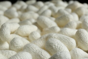 Heap of white silk cocoons, closeup view