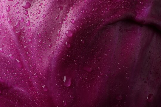 Fresh ripe red cabbage with water drops as background, closeup