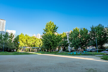 Obraz premium 快晴の野崎公園