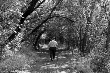 Hombre mayor caminando por un sendero en el campo
