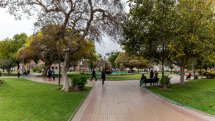 people walking in the park