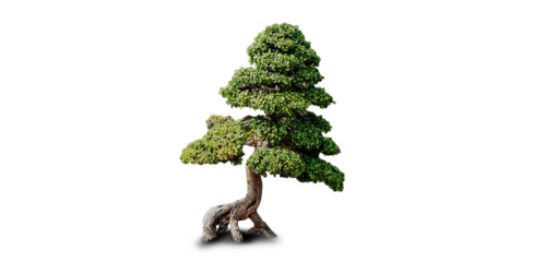 The trees have legs to walk three, separated from the background.