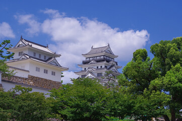 Fototapeta premium 福山城 天守の南側
