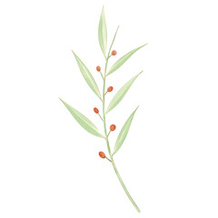 leaves isolated on white background Watercolor floral illustration leaves and branches wreath.
