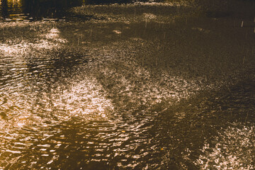 Light and shadow of raindrops falling on water surface.
