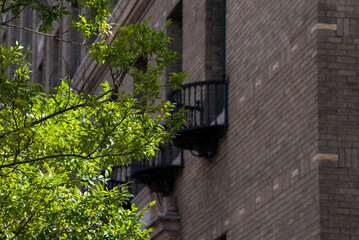 old brick building and green leaves with sun shining on it