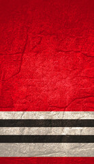 Fototapeta premium Chicago Blackhawks ice hockey team uniform colors. Template for presentation or infographics.