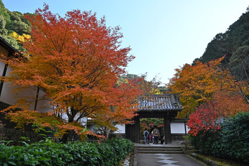 秋の京都　南禅寺の紅葉の風景