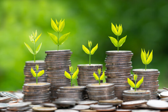 Plant on coin stack growing over green bokeh background,Strategy concept.tree growing on the coin, Business Finance, Earning, benefits, Capital,Save Money, fund,bond,Market growth,return on investment
