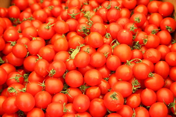 Tomatoes