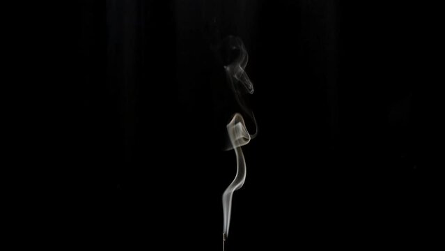 黒い背景に線香の煙が揺れる