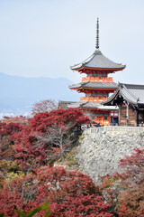 Fototapeta premium 秋の京都 清水寺の紅葉の風景