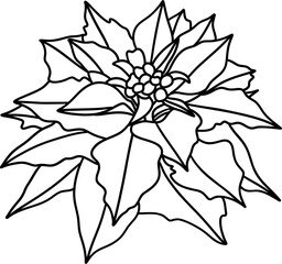 Christmas Poinsettia, Digital Vector illustration, Outline design
