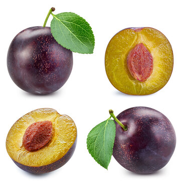 Isolated plum. Fresh organic plum with leaves isolated clipping path. Plum macro studio photo. High End Retouching
