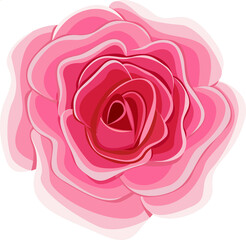 Pink Blooming Rose Petal Flower