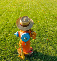 Humorous view of fire hydrant with old fashioned straw hat, fall leaves and corn stock
