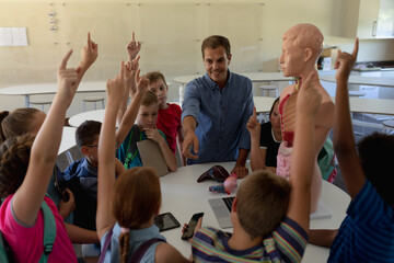 Male teacher using an human anatomy model to teach