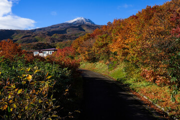 鳥海山、矢島口の紅葉